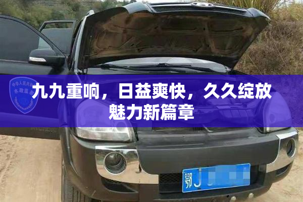 九九重响，日益爽快，久久绽放魅力新篇章