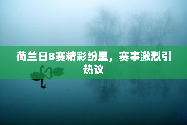 荷兰日B赛精彩纷呈，赛事激烈引热议
