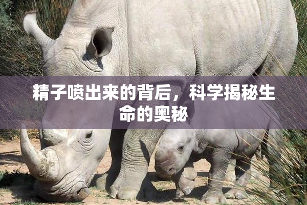 精子喷出来的背后，科学揭秘生命的奥秘