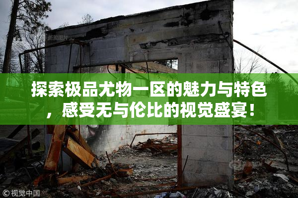 探索极品尤物一区的魅力与特色，感受无与伦比的视觉盛宴！