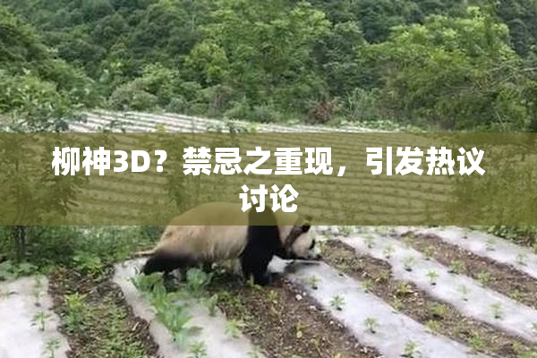 柳神3D？禁忌之重现，引发热议讨论