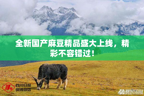 全新国产麻豆精品盛大上线，精彩不容错过！