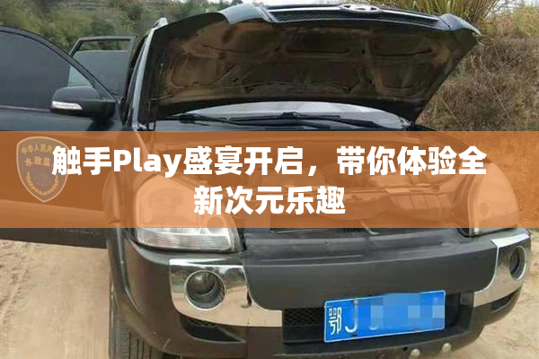 触手Play盛宴开启，带你体验全新次元乐趣
