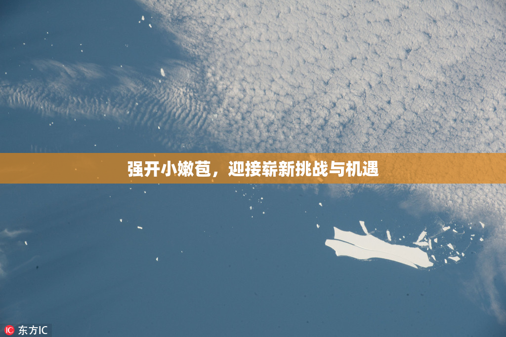 强开小嫩苞，迎接崭新挑战与机遇