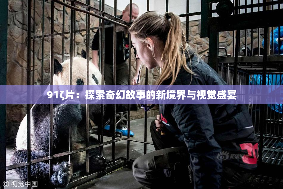 91ζ片：探索奇幻故事的新境界与视觉盛宴