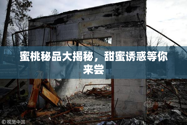 蜜桃秘品大揭秘，甜蜜诱惑等你来尝