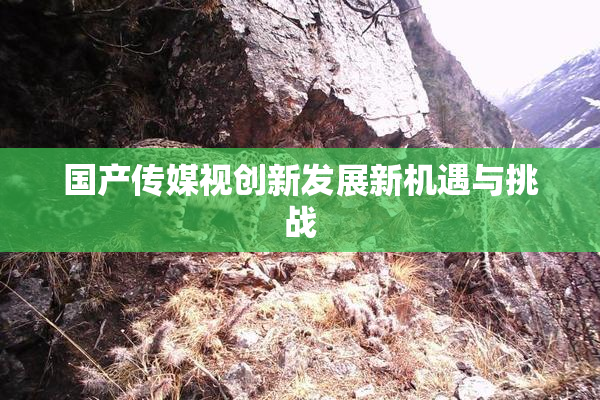 国产传媒视创新发展新机遇与挑战