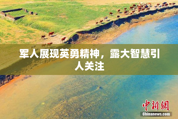 军人展现英勇精神，露大智慧引人关注
