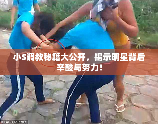 小S调教秘籍大公开，揭示明星背后辛酸与努力！