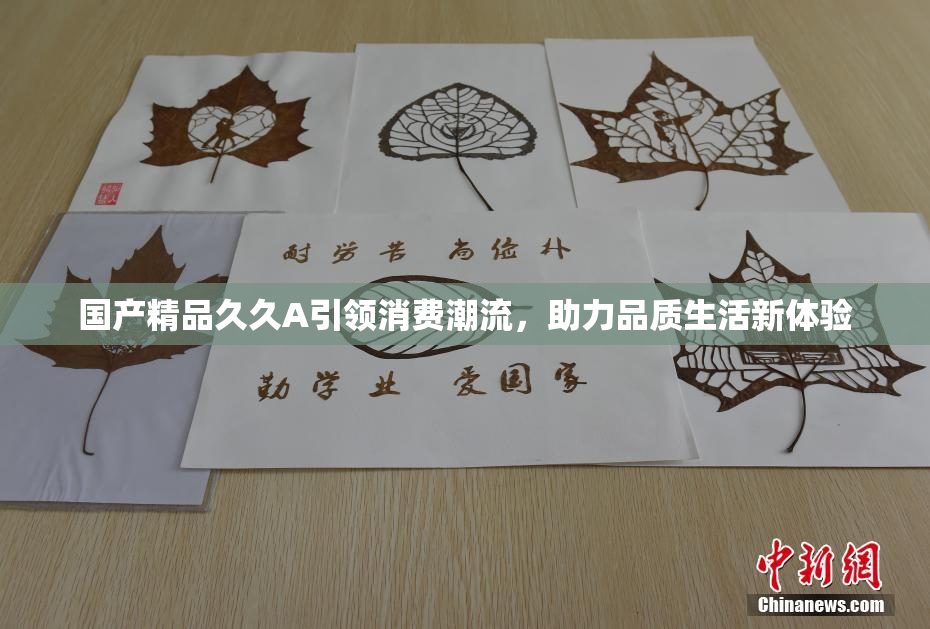 国产精品久久A引领消费潮流，助力品质生活新体验