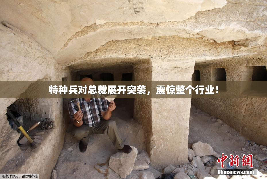 特种兵对总裁展开突袭，震惊整个行业！