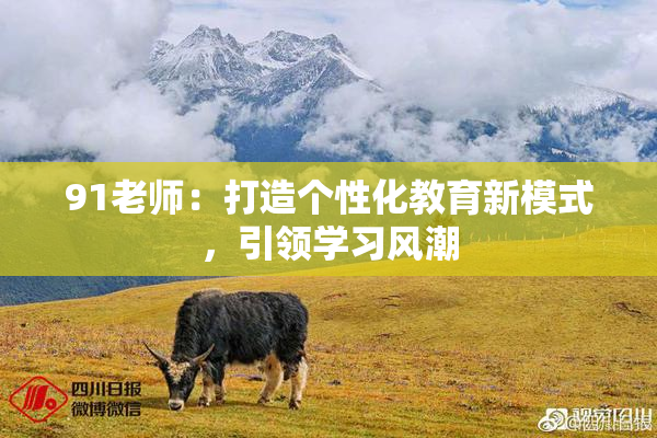 91老师：打造个性化教育新模式，引领学习风潮