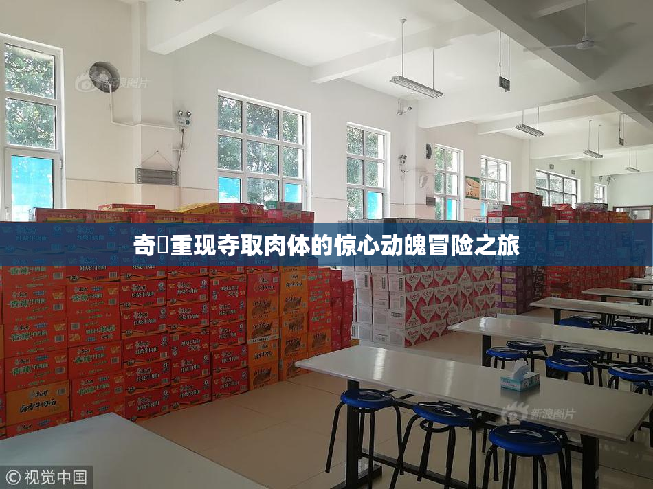 奇犽重现夺取肉体的惊心动魄冒险之旅
