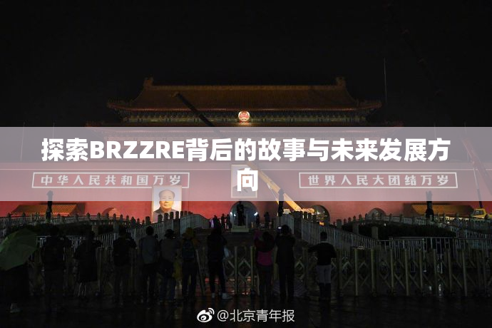 探索BRZZRE背后的故事与未来发展方向