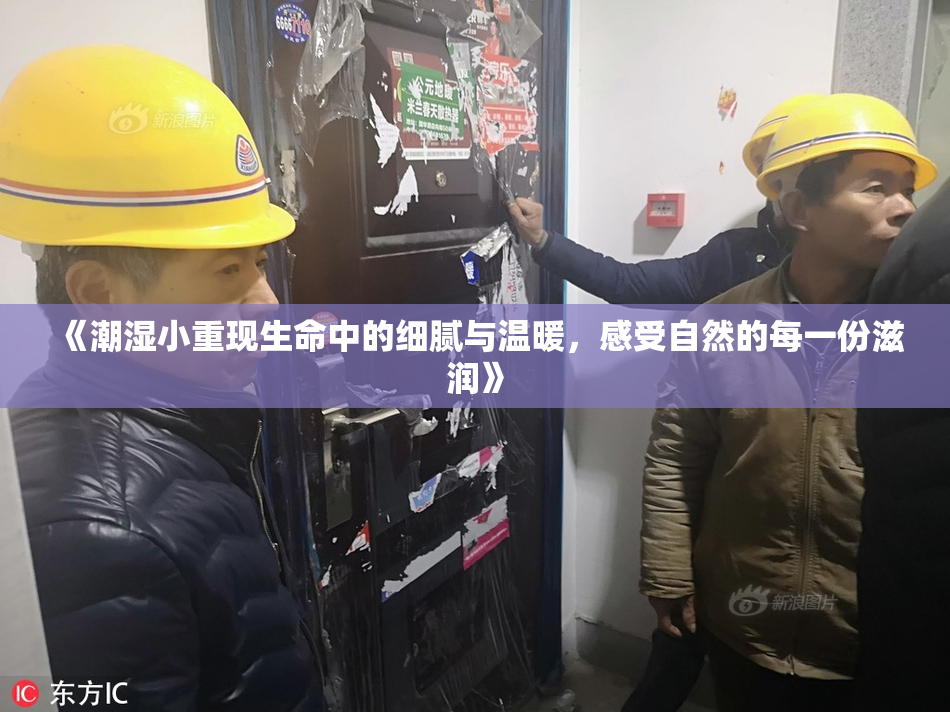 《潮湿小重现生命中的细腻与温暖，感受自然的每一份滋润》