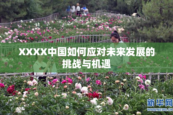 XXXX中国如何应对未来发展的挑战与机遇