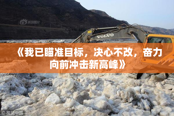 《我已瞄准目标，决心不改，奋力向前冲击新高峰》