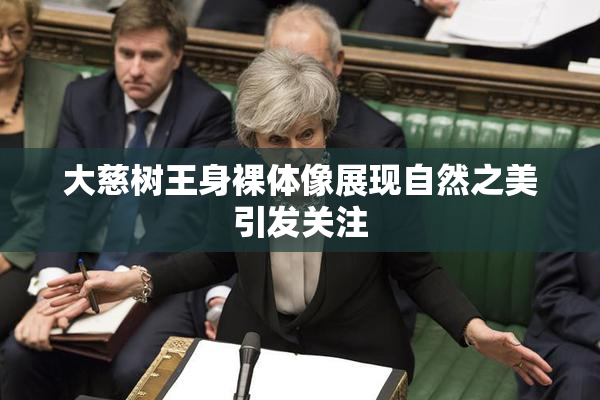 大慈树王身裸体像展现自然之美引发关注