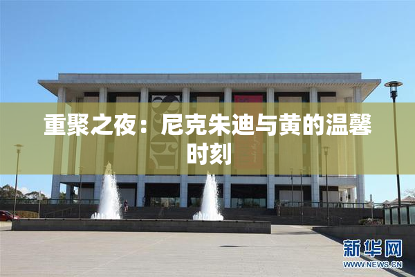 重聚之夜：尼克朱迪与黄的温馨时刻