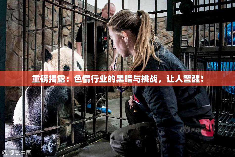 重磅揭露：色情行业的黑暗与挑战，让人警醒！
