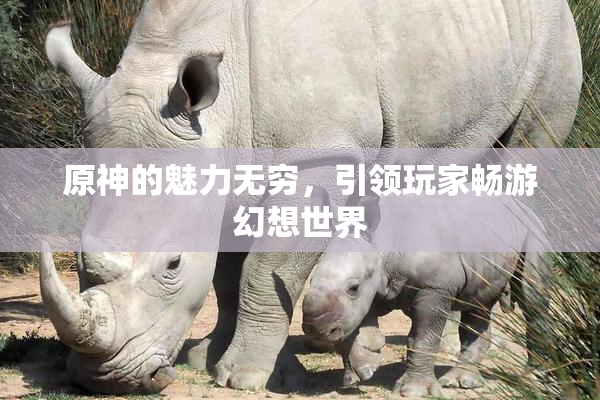 原神的魅力无穷，引领玩家畅游幻想世界