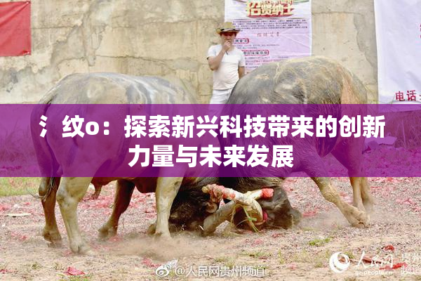 氵纹o：探索新兴科技带来的创新力量与未来发展