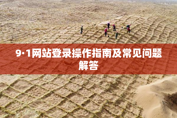 9·1网站登录操作指南及常见问题解答