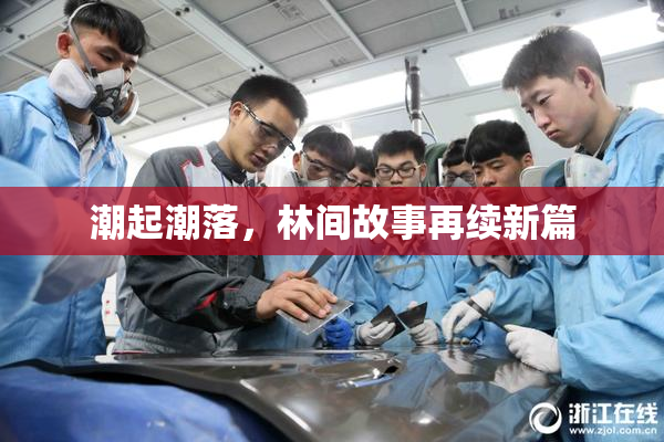 潮起潮落，林间故事再续新篇