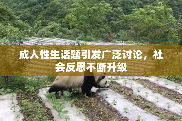 成人性生话题引发广泛讨论，社会反思不断升级