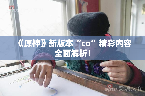 《原神》新版本“co”精彩内容全面解析！