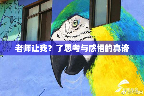 老师让我？了思考与感悟的真谛