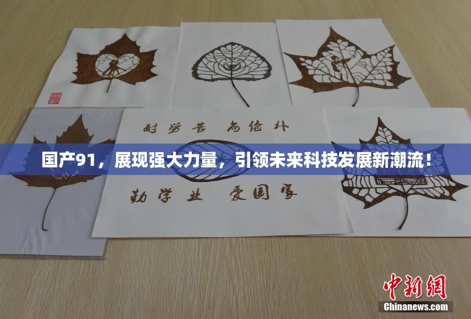 国产91，展现强大力量，引领未来科技发展新潮流！