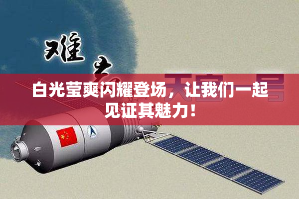 白光莹爽闪耀登场，让我们一起见证其魅力！