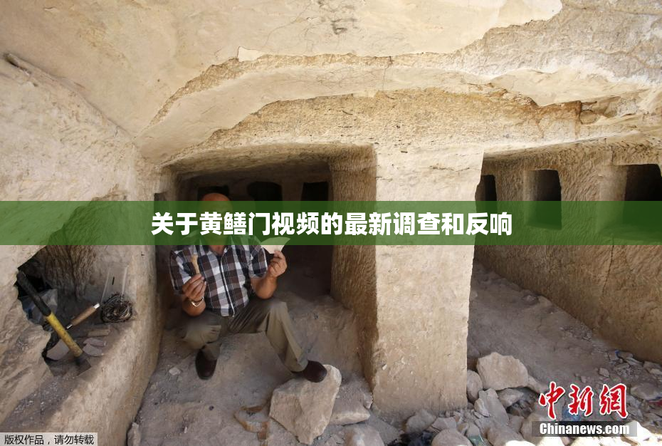 关于黄鳝门视频的最新调查和反响