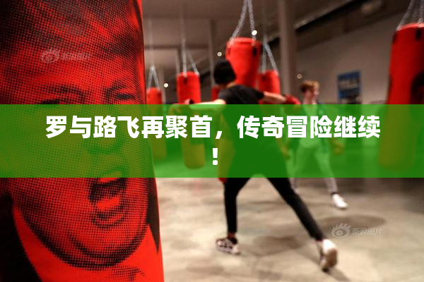 罗与路飞再聚首，传奇冒险继续！
