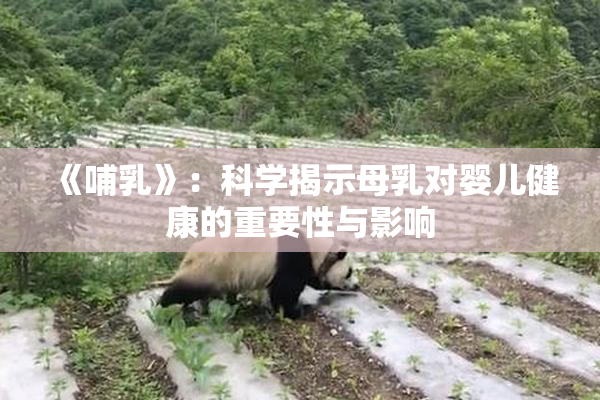 《哺乳》：科学揭示母乳对婴儿健康的重要性与影响