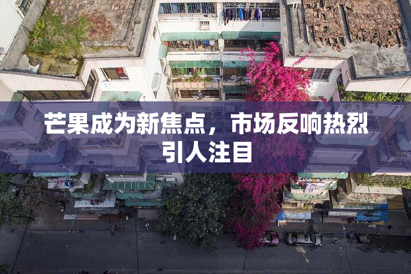 芒果成为新焦点，市场反响热烈引人注目