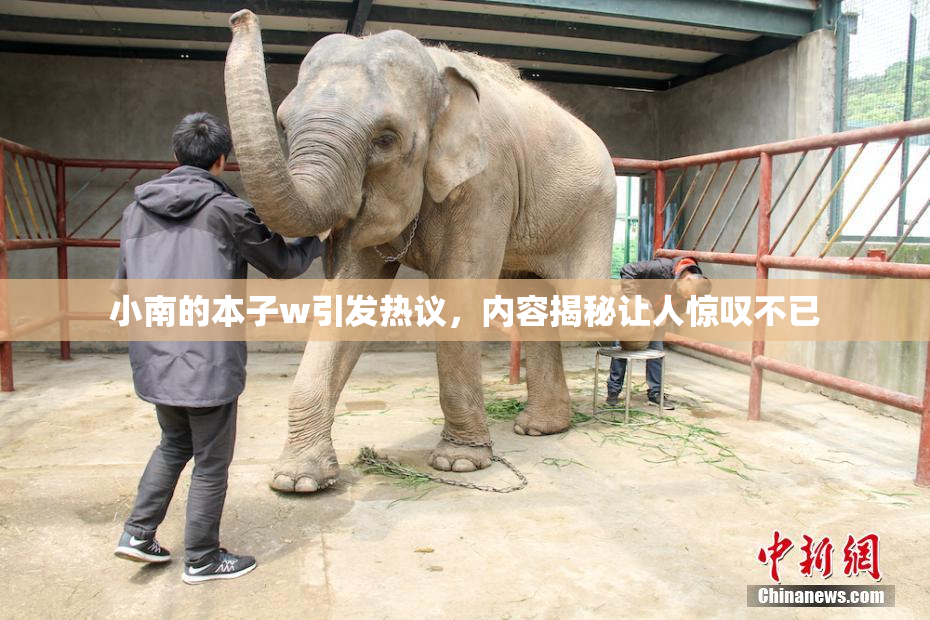小南的本子w引发热议，内容揭秘让人惊叹不已