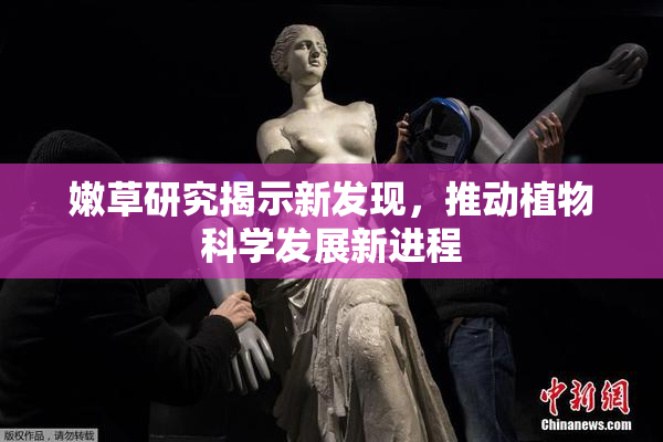 嫩草研究揭示新发现，推动植物科学发展新进程