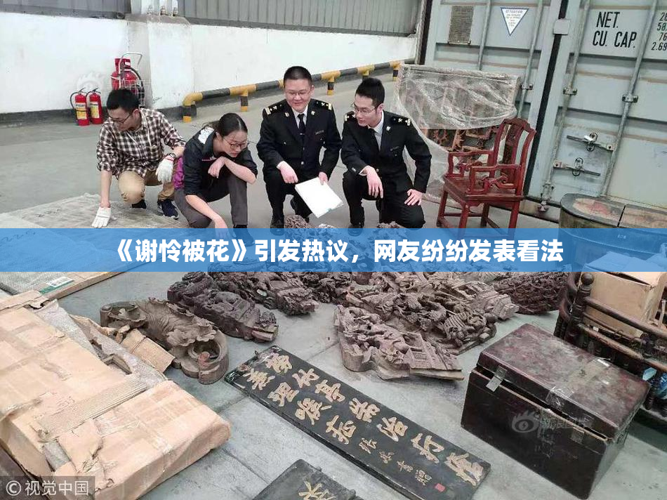 《谢怜被花》引发热议，网友纷纷发表看法