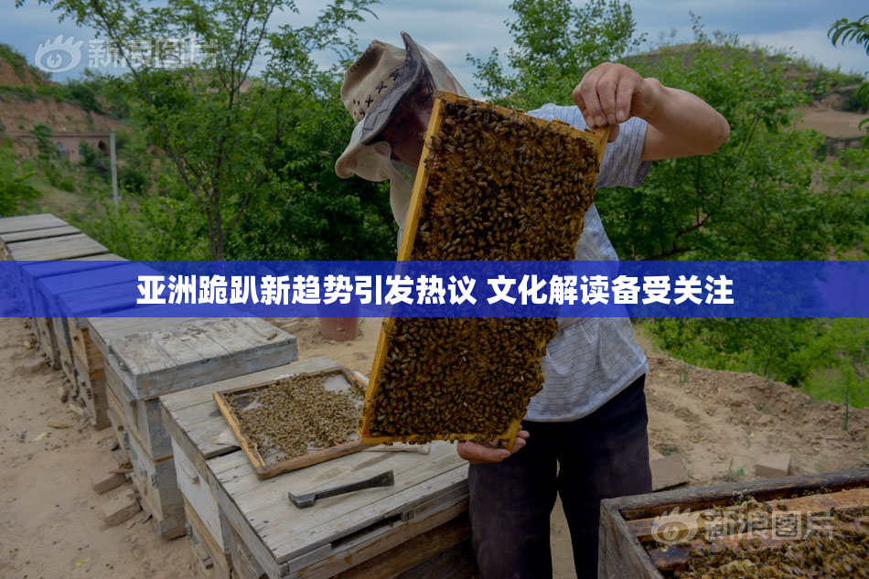 亚洲跪趴新趋势引发热议 文化解读备受关注