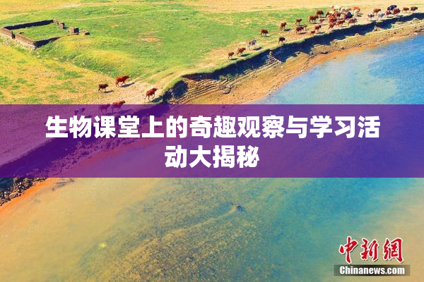 生物课堂上的奇趣观察与学习活动大揭秘