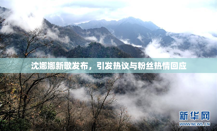 沈娜娜新歌发布，引发热议与粉丝热情回应