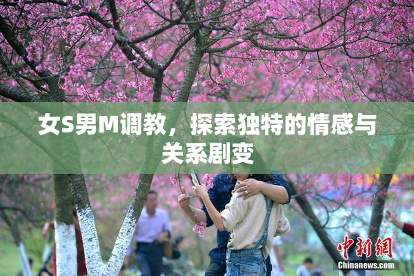 女S男M调教，探索独特的情感与关系剧变