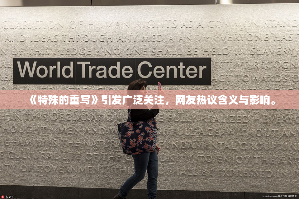 《特殊的重写》引发广泛关注，网友热议含义与影响。