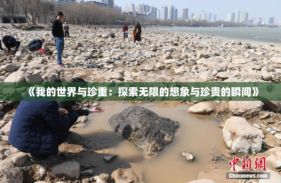 《我的世界与珍重：探索无限的想象与珍贵的瞬间》