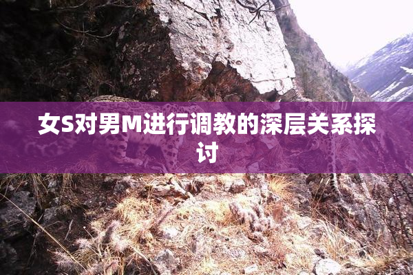 女S对男M进行调教的深层关系探讨