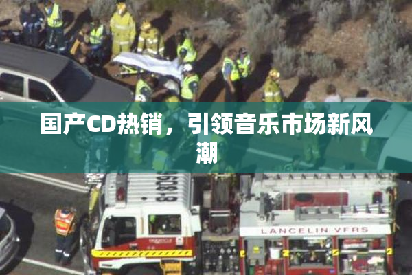 国产CD热销，引领音乐市场新风潮