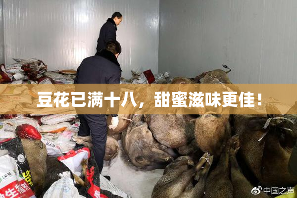 豆花已满十八，甜蜜滋味更佳！