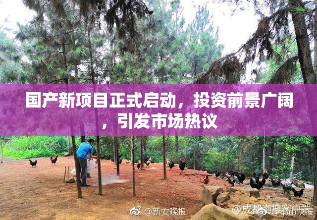 国产新项目正式启动，投资前景广阔，引发市场热议